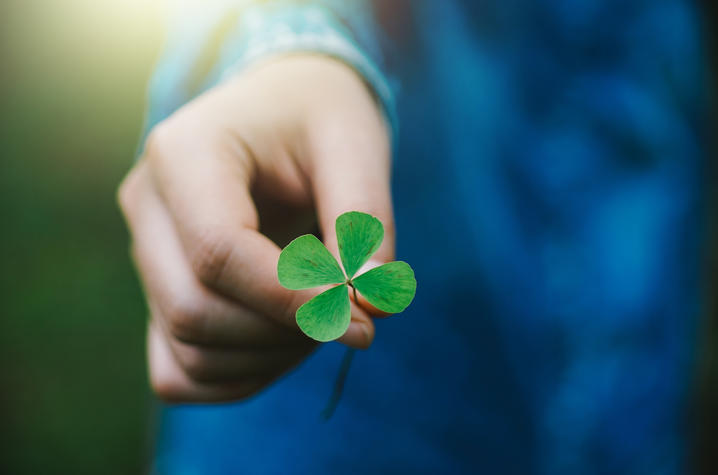 Pictiure of a four leaf clover