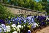 UK's flowery front gate